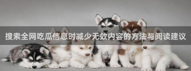 51吃瓜在线视频:搜索全网吃瓜信息时减少无效内容的方法与阅读建议