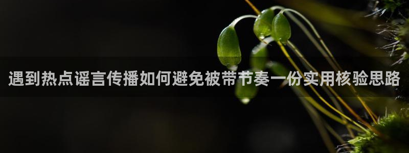 吃瓜黑料在线