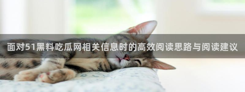 51吃瓜网轻量版