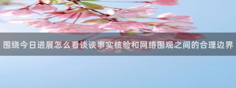 黑料吃瓜爆料:围绕今日进展怎么看谈谈事实核验和网络围观之间的合理边界