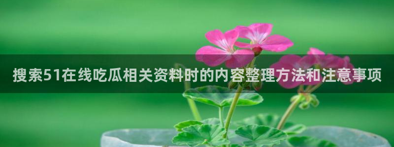 58吃瓜:搜索51在线吃瓜相关资料时的内容整理方法和注意事项