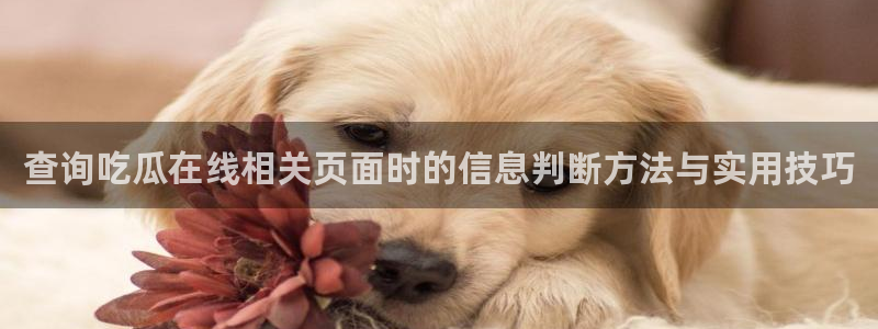 51吃瓜网网站:查询吃瓜在线相关页面时的信息判断方法与实用技巧