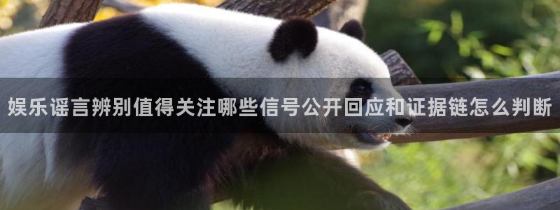 黑料吃瓜不打烊：娱乐谣言辨别值得关注哪些信号公开回应和证据链怎么判断